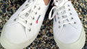 superga_127x72_01